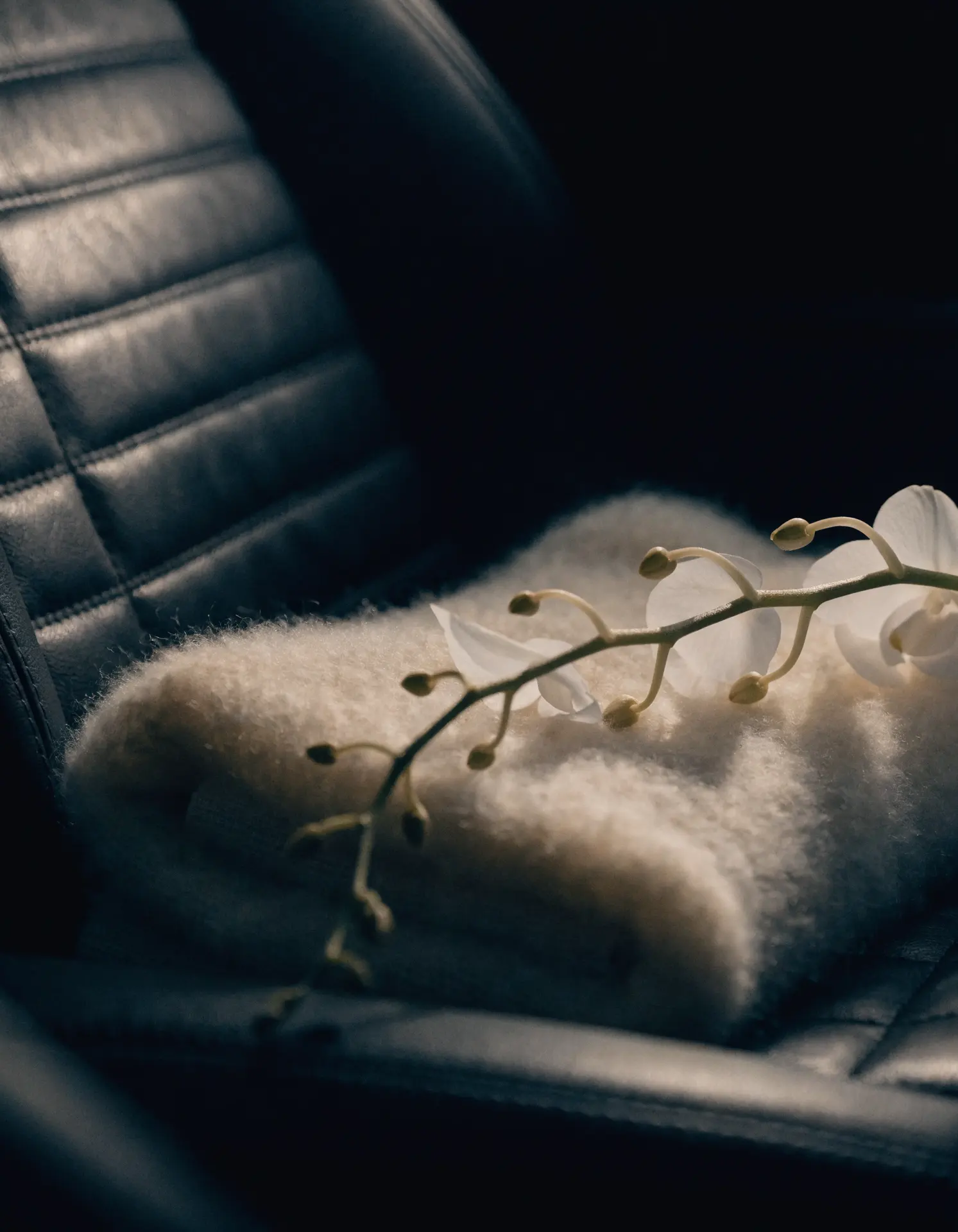 Quiet rear cabin of a chauffeured sedan with soft leather seating